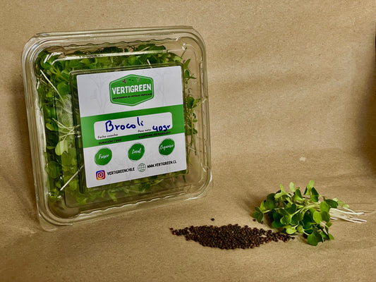 Microgreen Brócoli